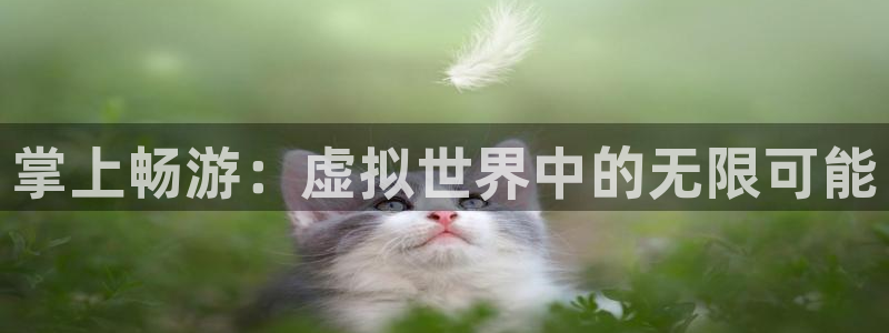 ag街机服装品牌：掌上畅游：虚拟世界中的无限可能