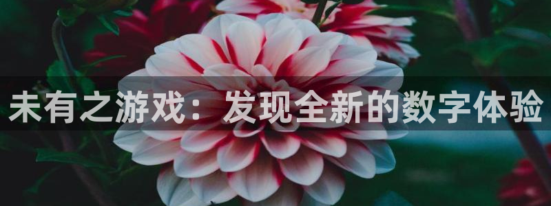 ag街机龙：未有之游戏：发现全新的数字体验