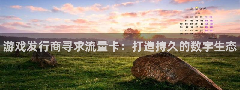 ag街机子的所有小说：游戏发行商寻求流量卡：打造持久的数字生态