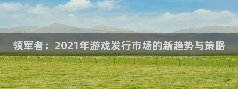 江苏ag街机智得新材料有限公司：领军者：2021年游戏发行市场的新趋势与策略