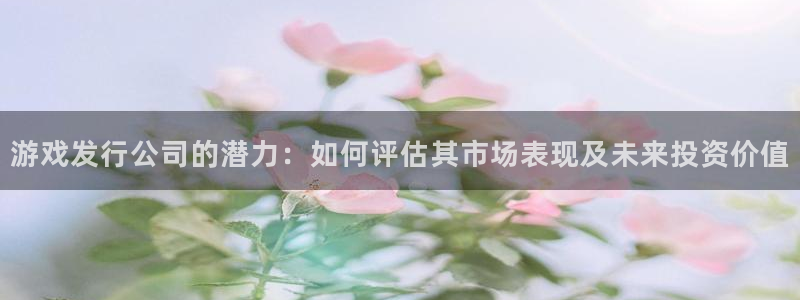 ag街机电商怎么样知乎：游戏发行公司的潜力：如何评估其市场表现及未来投资价值