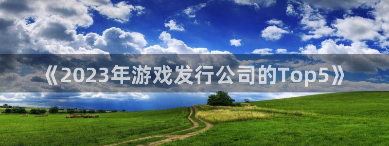 ag街机涂料怎么样：《2023年游戏发行公司的Top5》