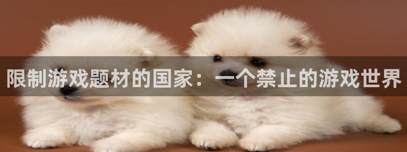 ag街机子财经丛书：限制游戏题材的国家：一个禁止的游戏世界