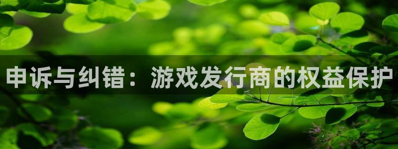 ag街机防水是几线品牌：申诉与纠错：游戏发行商的权益保护