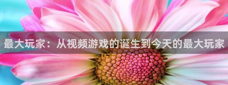 ag街机集团品牌策划机构：最大玩家：从视频游戏的诞生到今天的最大玩家
