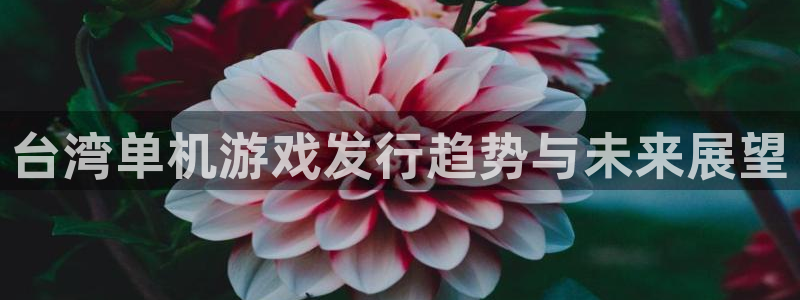 顺德ag街机电商