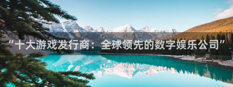 ag街机香烟图片：“十大游戏发行商：全球领先的数字娱乐公司”