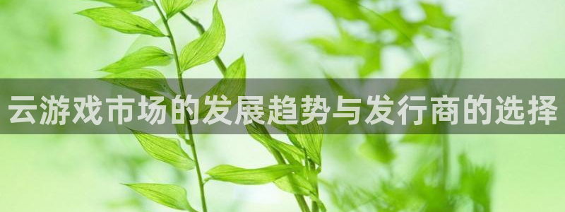 ag街机官网招商主管：云游戏市场的发展趋势与发行商的选择