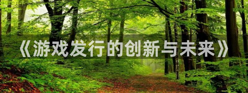 ag街机官网注册平台合法吗?：《游戏发行的创新与未来》