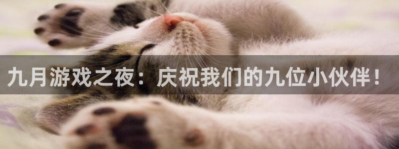 ag街机官网是境外的吗