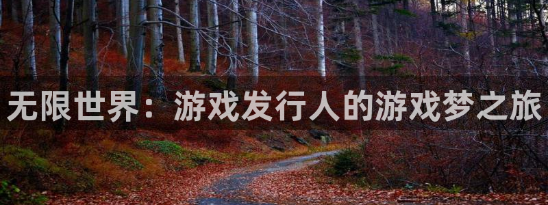 广州ag街机投资管理顾问有限公司：无限世界：游戏发行人的游戏梦之旅