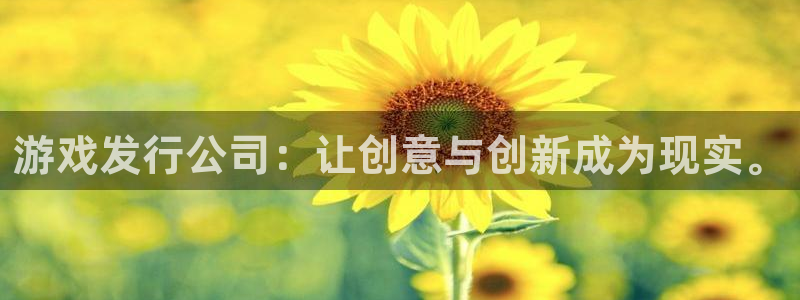 ag街机平台：游戏发行公司：让创意与创新成为现实。