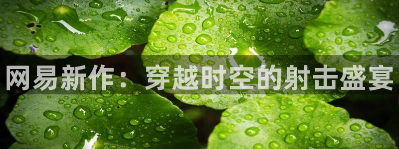 ag街机官网：网易新作：穿越时空的射击盛宴