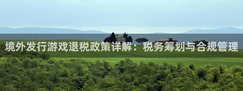 广州ag街机网络科技有限公司怎么样：境外发行游戏退税政策详解：税务筹划与合规管理