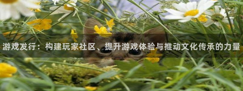 ag街机官网登录注册失败：游戏发行：构建玩家社区、提升游戏体验与推动文化传承的力量