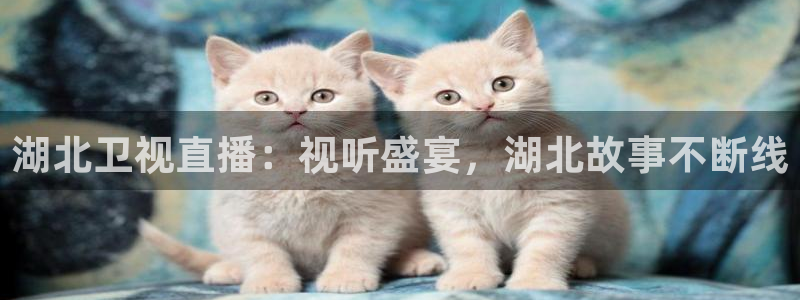 飞速直播nba无插件：湖北卫视直播：视听盛宴，湖北故事不断线