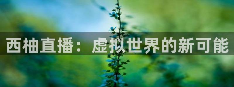 飞速直播nba直播无插件：西柚直播：虚拟世界的新可能