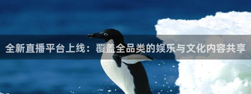 飞速体育直播免费观看：全新直播平台上线：覆盖全品类的娱乐与文化内容共享