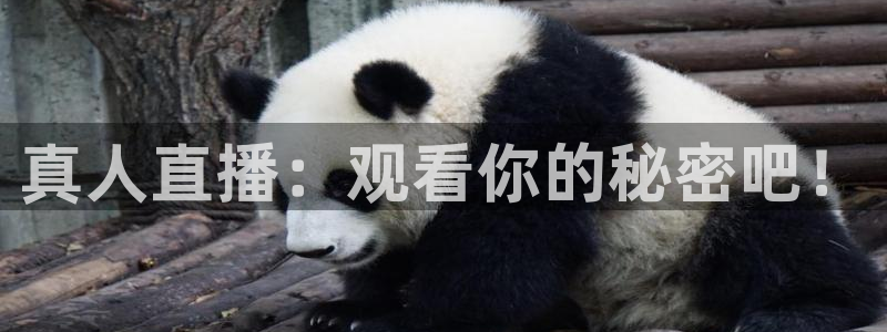 飞速体育直播无插件：真人直播：观看你的秘密吧！