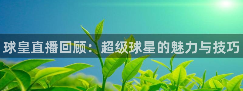 nba无插件飞速直播：球皇直播回顾：超级球星的魅力与技巧