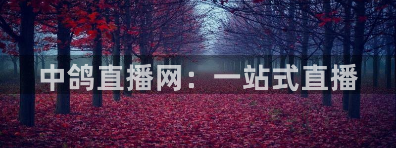 飞速体育在线直播观看：中鸽直播网：一站式直播