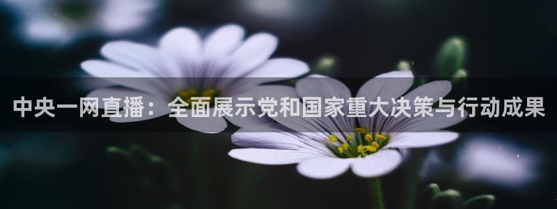 飞速体育高速直播：中央一网直播：全面展示党和国家重大决策与行动成果