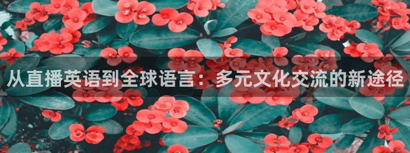 飞速体育直播全面更新升级.网站玩.org：从直播英语到全球语言：多元文化交流的新途径