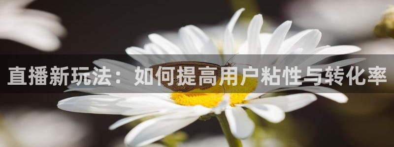 飞速直播：直播新玩法：如何提高用户粘性与转化率